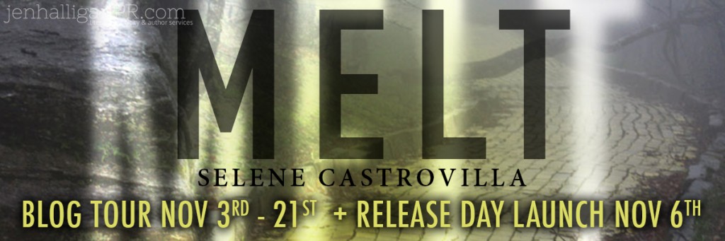 MELT Release Launch and Blog Tour Sign Up