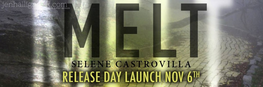 MELT RDL Banner