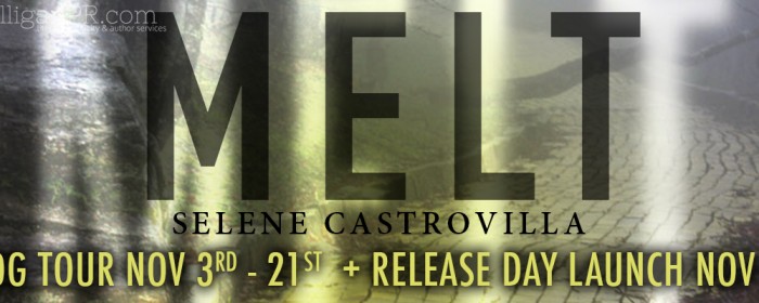 Sign Up | MELT Release Launch and Blog Tour